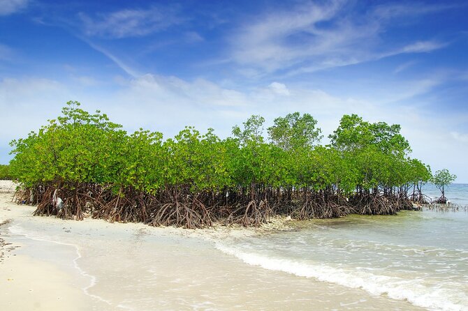Full-Day Private Tour Siquijor Island - Tour Pricing and Booking