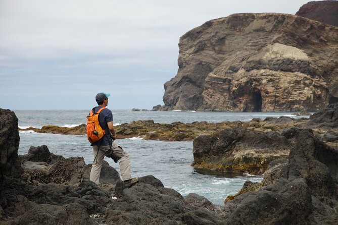Full Day Private Trip Faial - Immersive Traveler Experiences