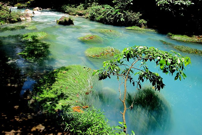Full-Day Rio Celeste Tour From La Fortuna - Tour Overview and Highlights