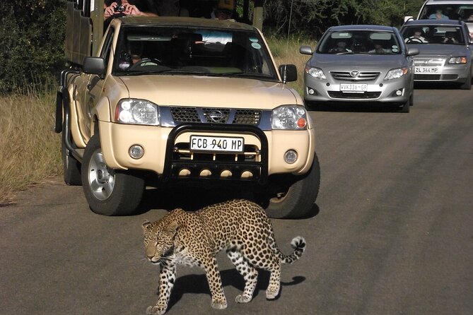 Full Day Safari Shared Tour at Kruger National Park - Inclusions and Amenities