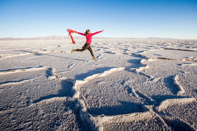 Full-Day Salinas Grandes Tour From Salta - Tour Highlights