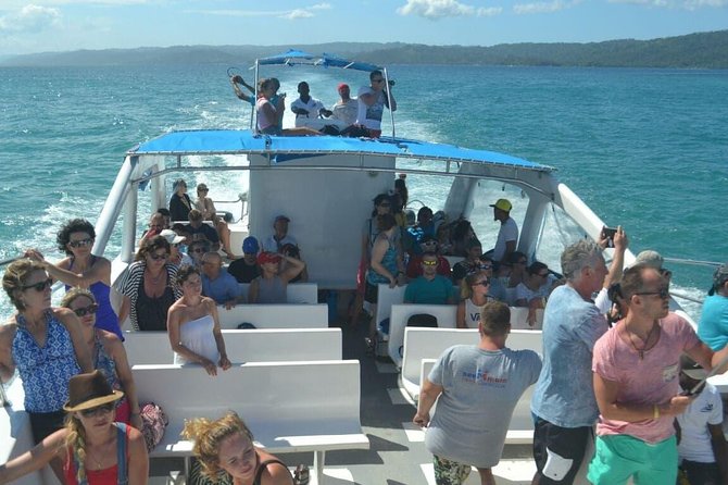 Full Day Samana Whales From Punta Cana With Waterfall, Bacardi Island & Lunch - Pricing and Booking Details