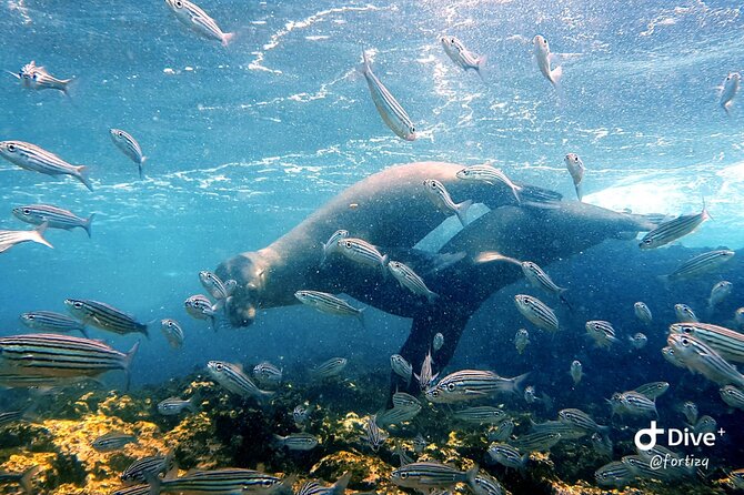 Full Day Santa Fe Island and Playa Escondida Snorkeling and Fishing - Tour Itinerary