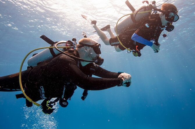 Full Day Scuba Diving Course: Pool and Boat Dive Experience - Overview of Full Day Scuba Diving Course
