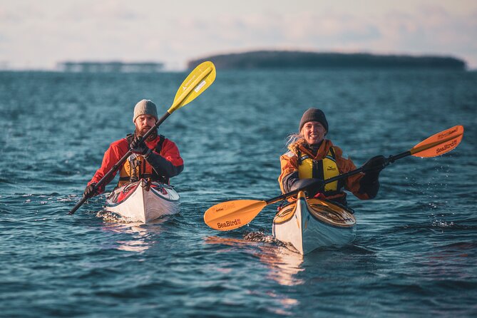 Full-Day Sea Kayaking Experience in Pargas - Overview and Details