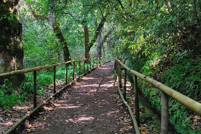 Full-Day Self Guided Hike in Caldeirão Verde Levada - Overview of Caldeirão Verde Levada Hike