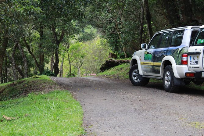 Full Day Sete Cidades 4WD Tour Walking Typical Lunch PRIVATE - Itinerary Highlights