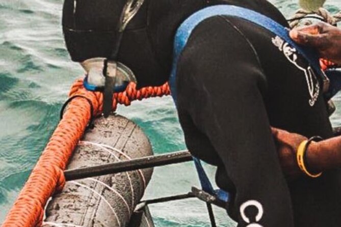 Full Day Shark Cage Diving Tour - Tour Confirmation and Accessibility