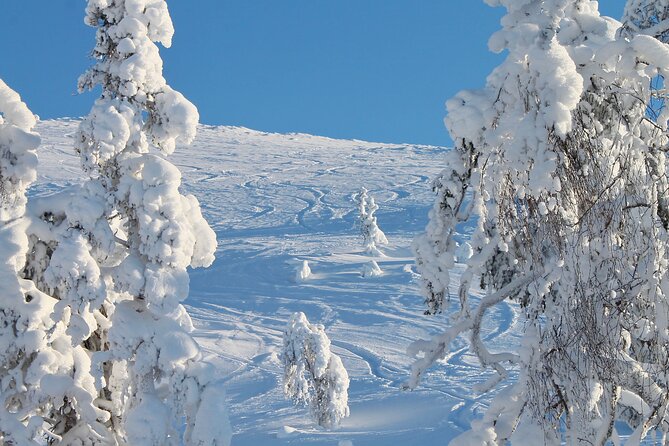 Full Day Skiing in Finland - Skiing in Finland: A Thrilling Adventure