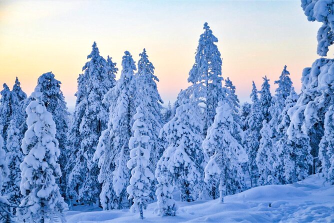 Full Day Snowmobile Activity in Rovaniemi - Snowmobile Tour Highlights