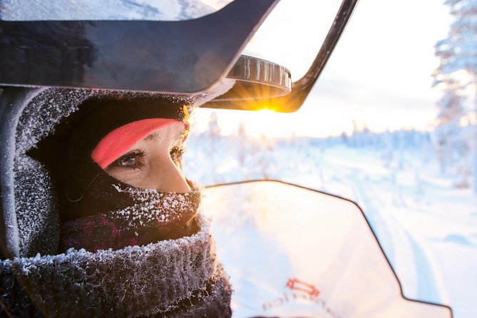 Full Day Snowmobile Safari Into the Lappish Wilderness in Rovaniemi - Overview and Details