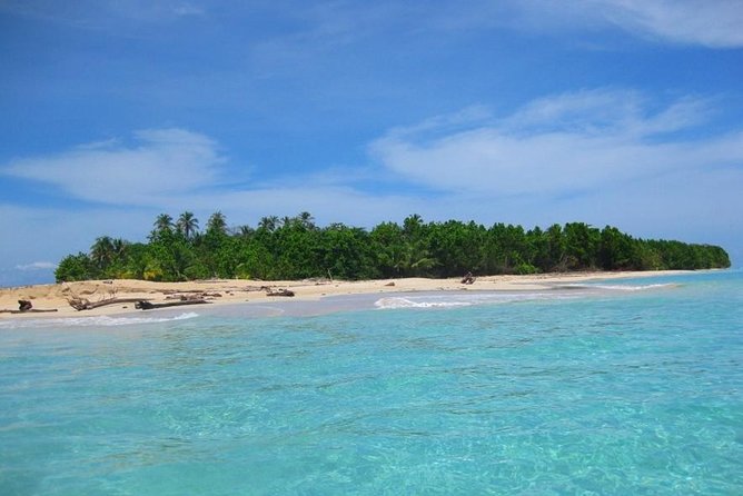 Full-Day Speedboat Tour, Wildlife, and Snorkeling in Bocas Del Toro in Panama - Tour Highlights