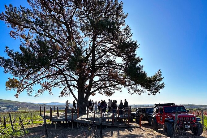 Full Day Stellenbosch Wine Tour - Tour Inclusions