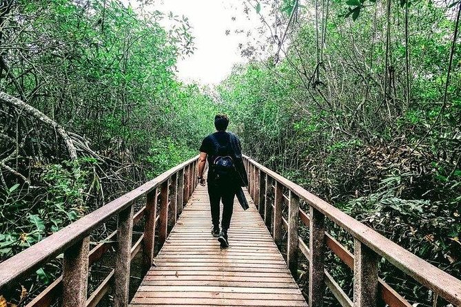 Full Day to Ecological Reserve Churute Mangrove and Cocoa Farm Visit - Tour Highlights