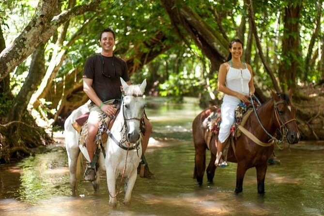 Full-Day Tour in Cap Cana With Buggy and Horseback Riding Experience - Buggy Riding Adventure