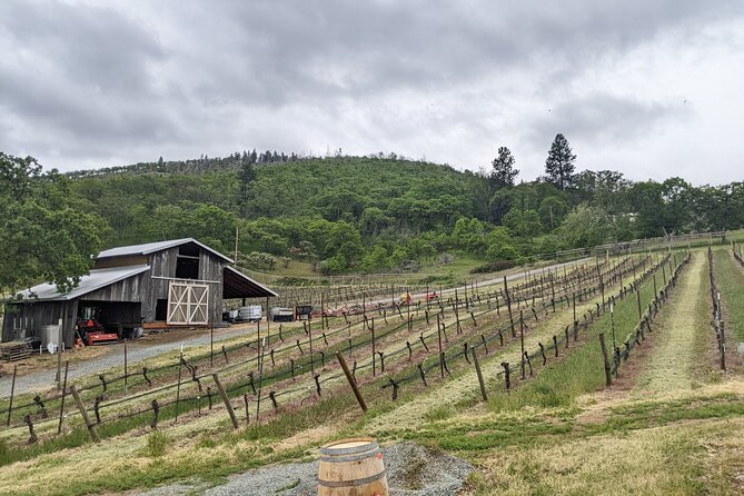 Full-Day Tour of Rogue Valley Wineries - Tour Details