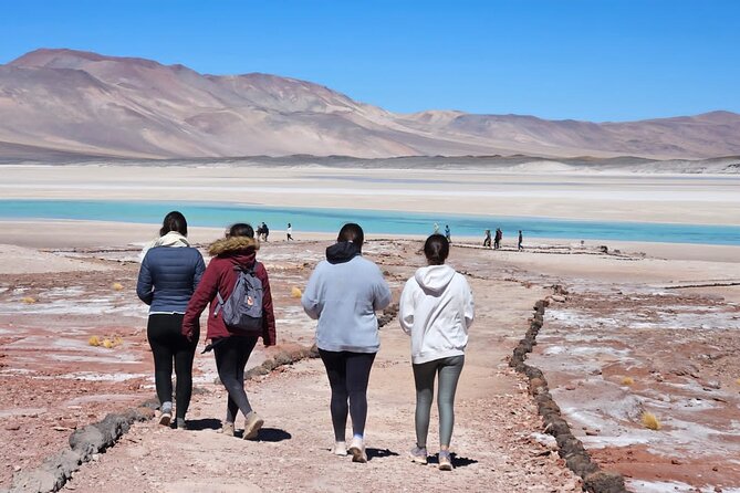 Full Day Tour to Piedras Rojas, Altiplanic Lagoons and Chaxa - Customer Reviews and Ratings