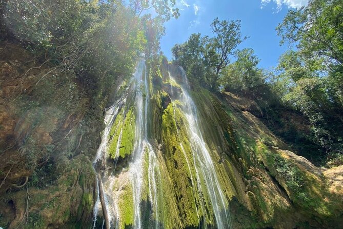 Full Day Tour to Samana From Punta Cana - Tour Overview