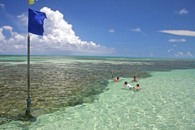 Full-Day Visit to Paripueira Beach and Tide Pools in Maceió - Tour Details