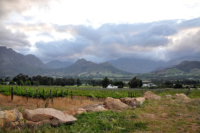 Full-Day Wine Tour From Stellenbosch - Tour Inclusions