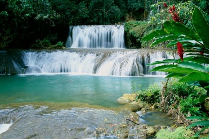 Full Day YS Falls and Appleton Estate Tour From Montego Bay - Itinerary Details