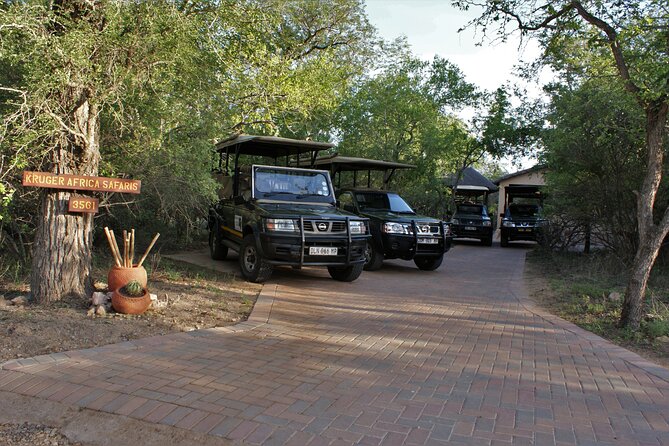 Fullday Gamedrives in Kruger National Park From Marlothpark - Pricing and Booking Details