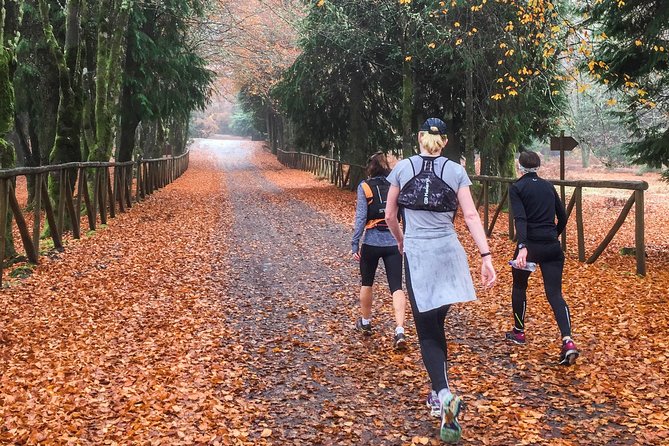 Funchal Half-Day Trail Running Small-Group Tour - Pricing and Guarantee
