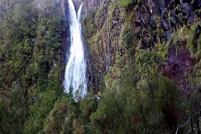Funchal Private and Customizable VIP Tour  - Madeira - Escape the Crowds With a Private Tour