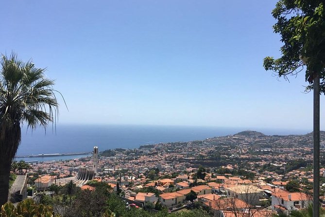 Funchal Private Vehicle Service With Driver for a Half Day or Full Day - Pricing and Booking Details