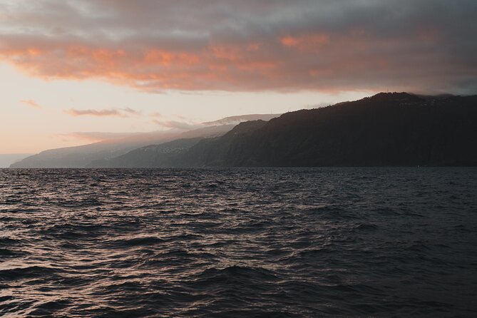 Funchal Sunset Sailing Private Tour - Tour Details