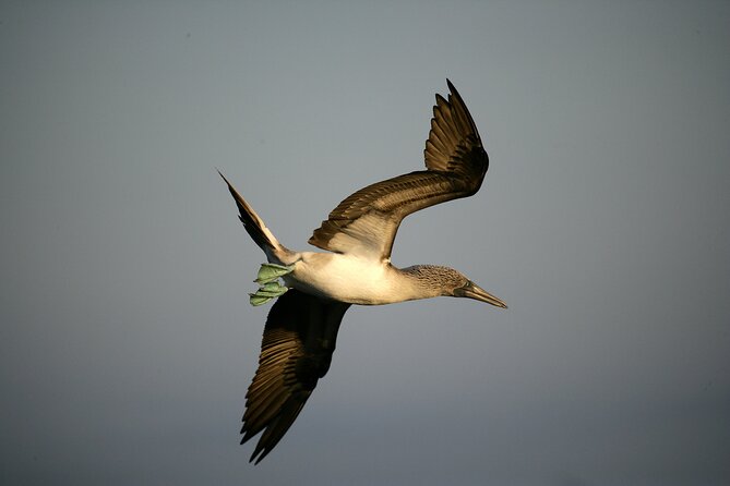 Galapagos Intensive 5 Days, Land Base (3islands) Excludes Galapagos Flight - Experience Highlights