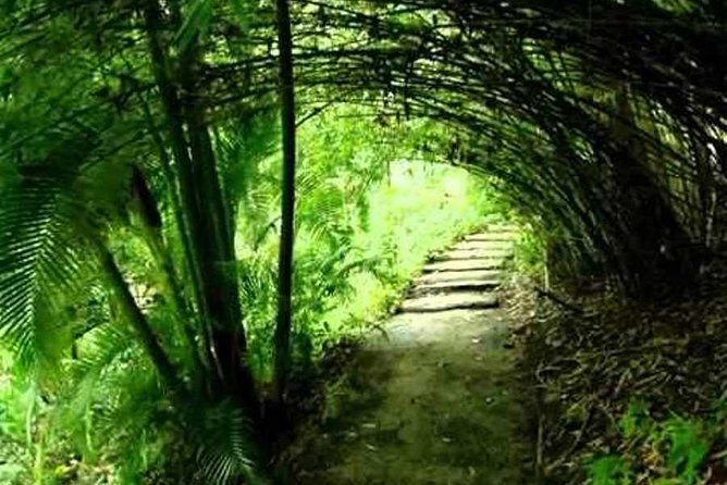 Garden Delight Full-Day Tour in Barbados - Garden Stops and Itinerary