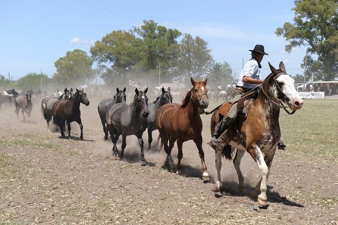 Gaucho Day Trip From Buenos Aires: Don Silvano Ranch - Culinary Delights