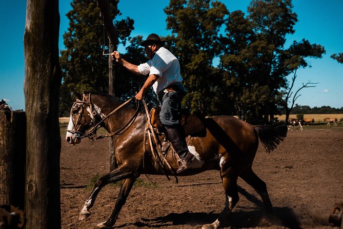 Gaucho Day Trip From Buenos Aires: Santa Susana Ranch - Overview of Santa Susana Ranch