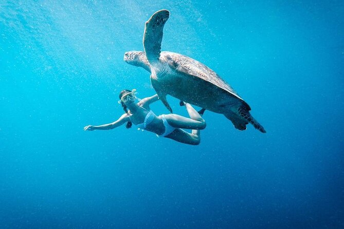 Gili Island Snorkeling Trip - Gili Trawangan, Gili Meno, & Gili Air, From Lombok - Tour Details and Inclusions