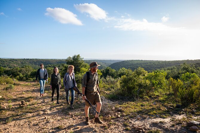 Giraffe Walk and Buffalo Experience Combo - Tour Details