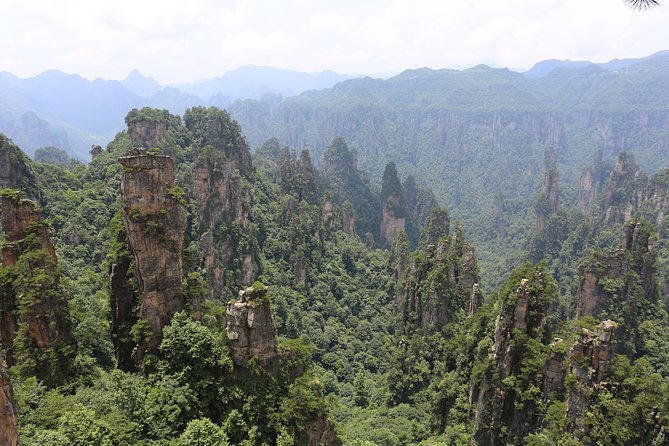 Glass Bridge,Zhangjiajie Park Avatar Mountain Day Tour - Meeting Point Details