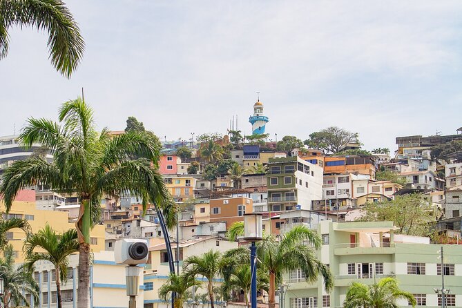 Glimpse the Vibrant Guayaquil in Half-Day - Booking and Pricing