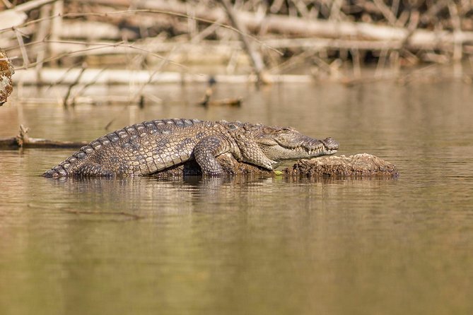 Goa Crocodiles & Spice Plantation Tour - Tour Highlights