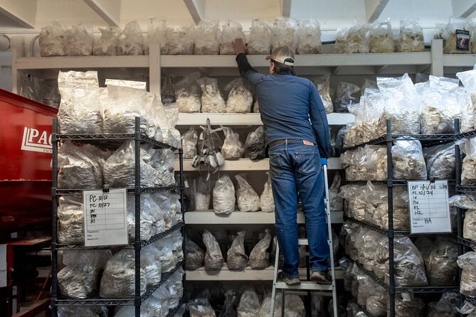 Gourmet Mushroom Farm Tour in Tennessee - Tour Overview