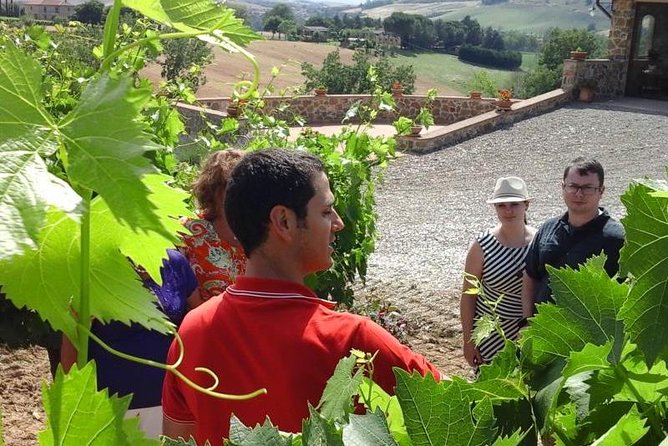 Gourmet Wine Tour - Tour Highlights