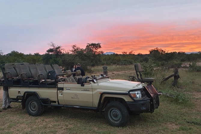 Greater Kruger National Park 4 Day Safari at a Private Game Lodge - Safari Highlights