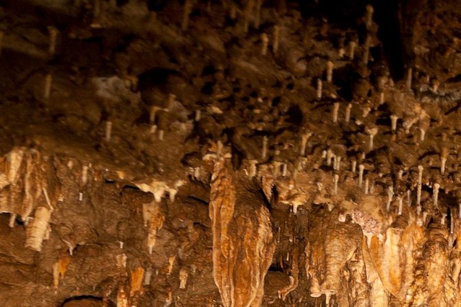 Green Grotto Caves Excursion From Kingston - Booking and Pricing Information