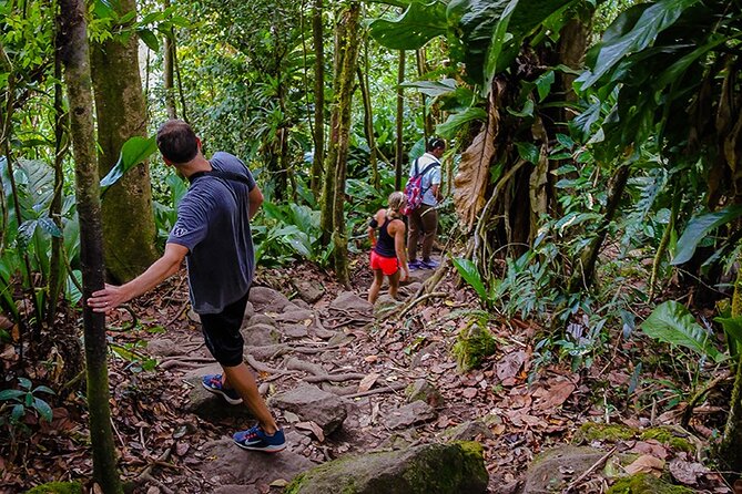 Gros Piton Hike in St. Lucia (Private) - Hike Highlights