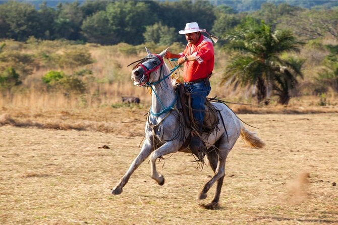 Guachipelin Adventure Volcano Zipline Horseback River Tubing Combo