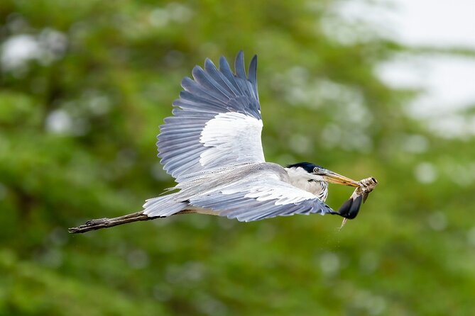 Guayaquil Private Half-Day Churute Eco Reserve Tour (Feb ) - Tour Highlights