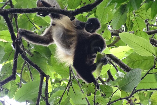Guayaquil to Manglares Churute and Cacao Route Tour (Feb ) - Tour Highlights