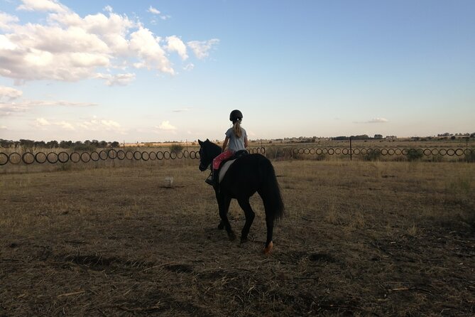 Guided 2 Hour Farm Horse Trail - Pricing and Booking Details