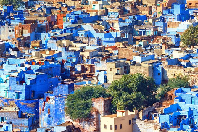 Guided Blue City - Jodhpur Walking Tour Experience With a Local - Tour Pricing
