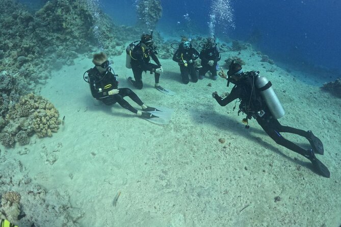 Guided Diving Experience for Padi OW in Red Sea and Sinai - Pickup Details